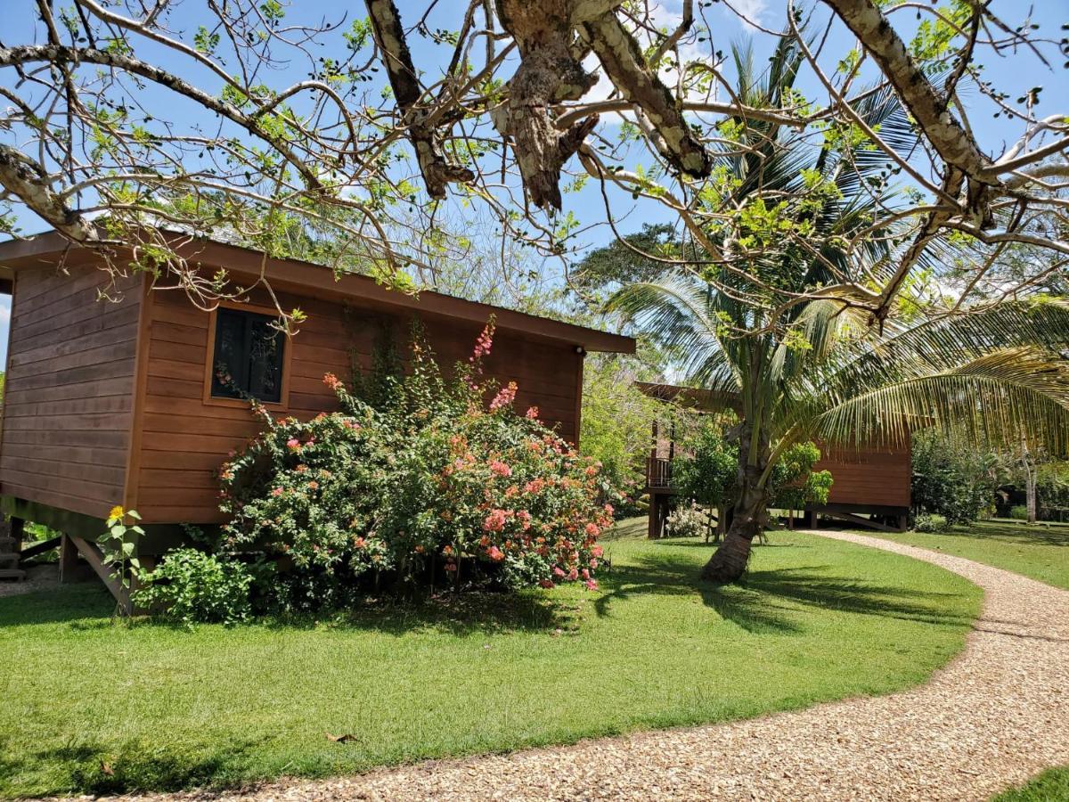 Yumas Riverfront Lodge San Ignacio Exteriér fotografie