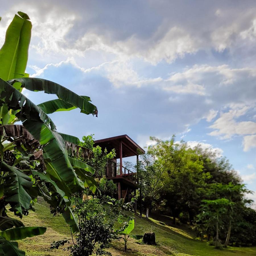 Yumas Riverfront Lodge San Ignacio Exteriér fotografie