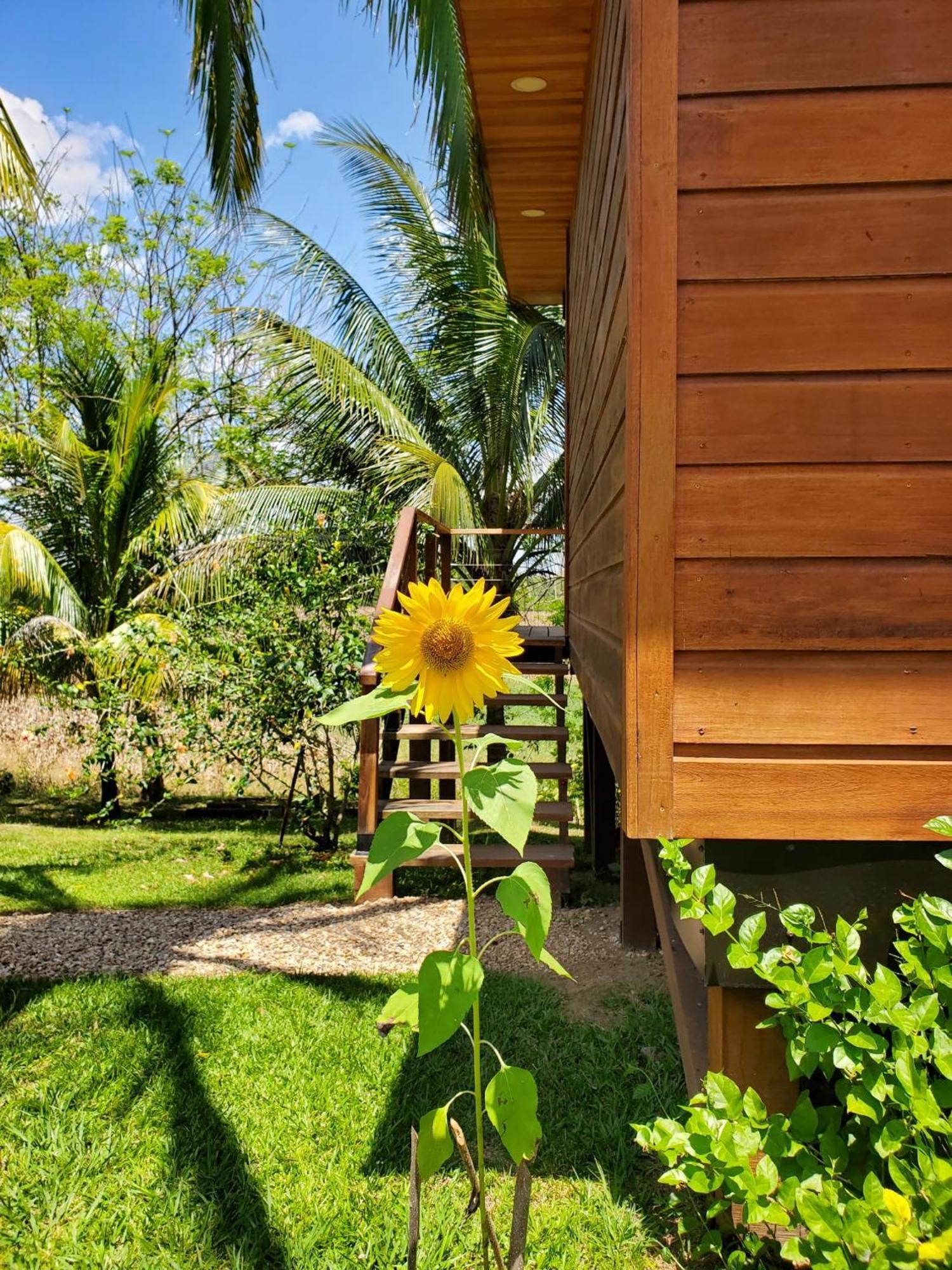 Yumas Riverfront Lodge San Ignacio Exteriér fotografie