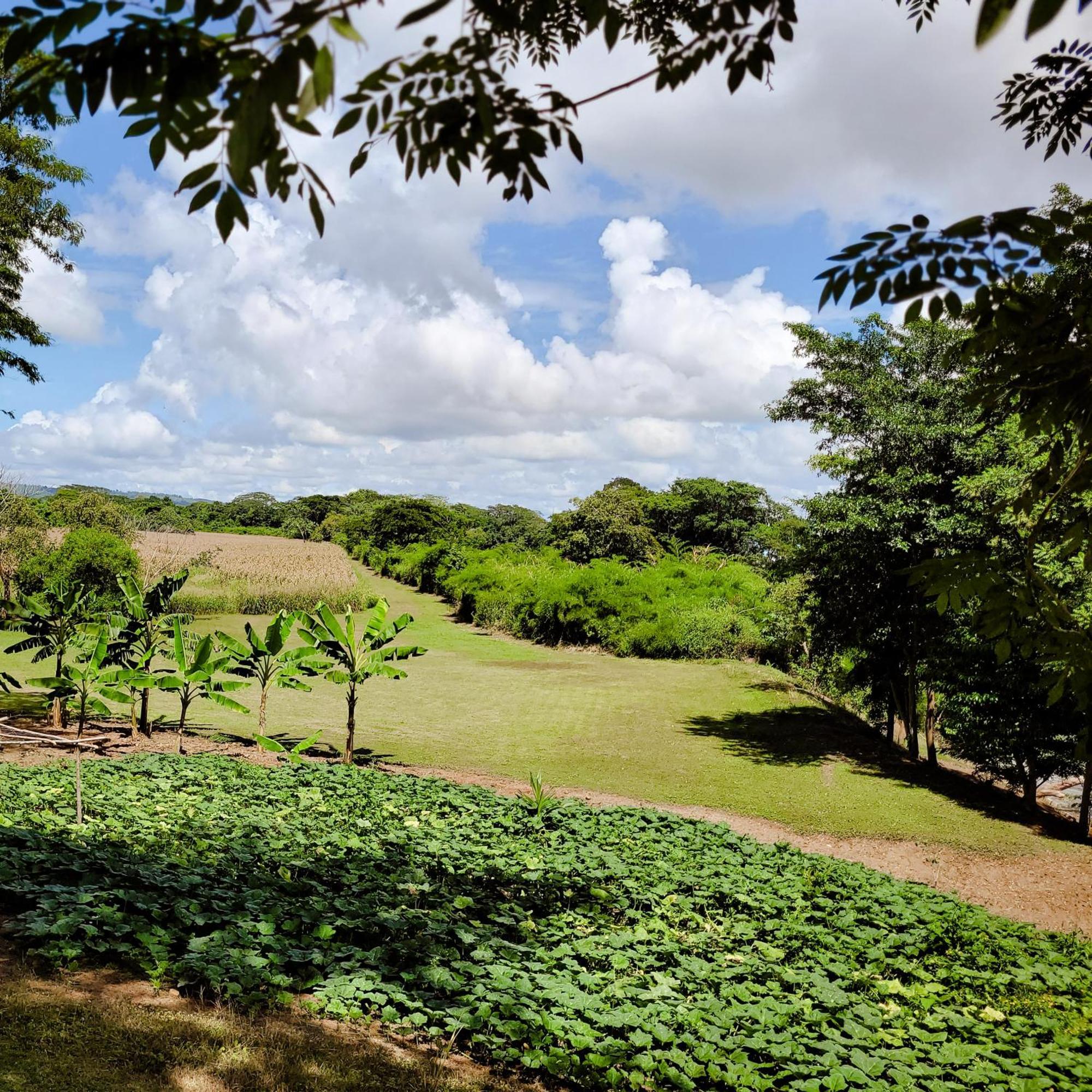 Yumas Riverfront Lodge San Ignacio Exteriér fotografie