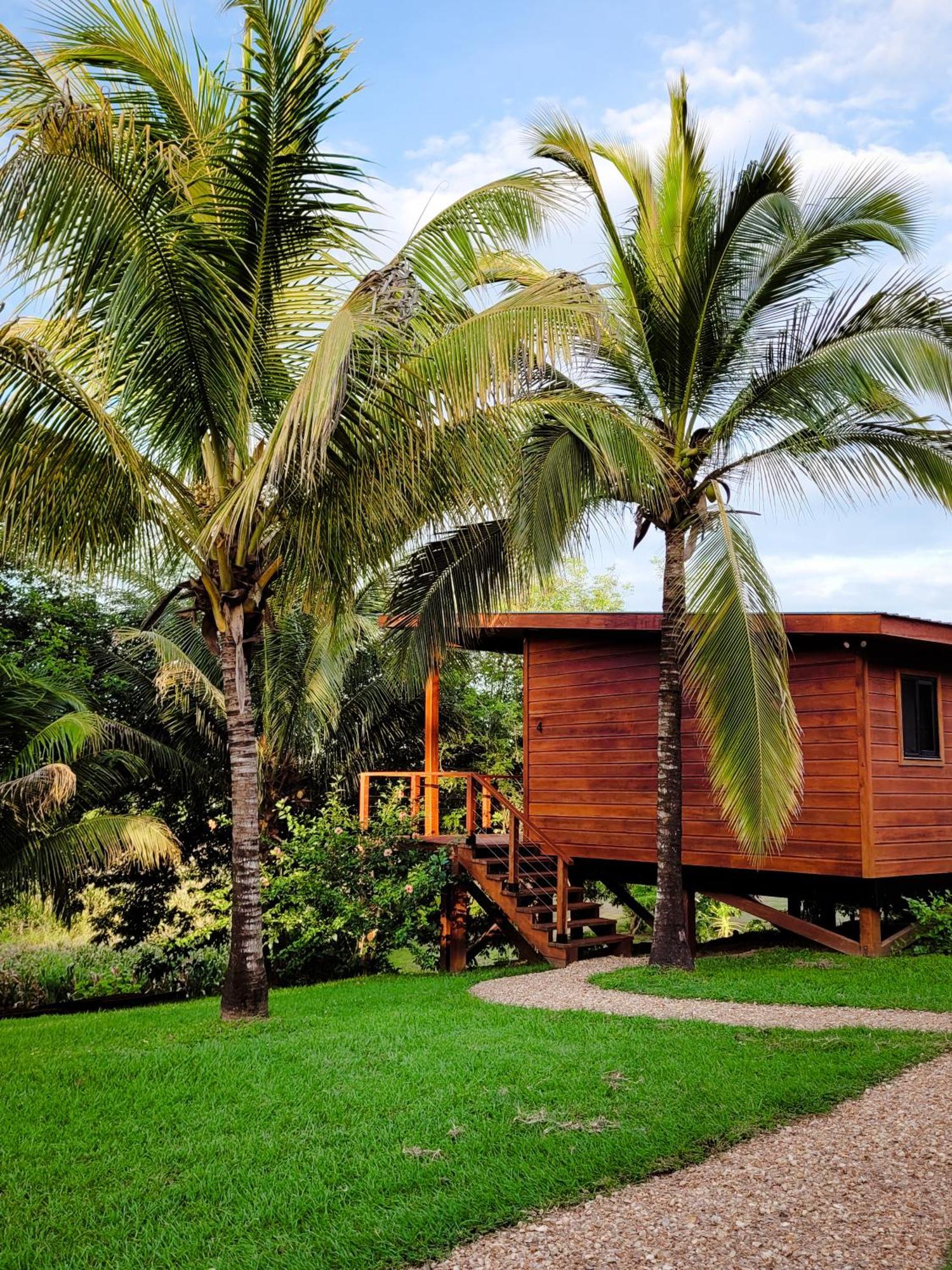Yumas Riverfront Lodge San Ignacio Exteriér fotografie